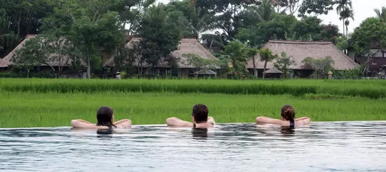 Cendana Resort & Spa | Bali - Ubud - Ubud Kent Merkezi