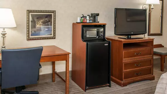 Quality Inn Castleton | Indiana - Indianapolis (ve civarı) - Indianapolis