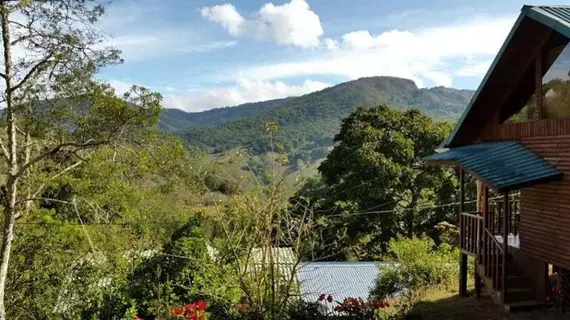 Cedrela Ecolodge | Cartago (ili) - Cartago (ve civarı) - Copey