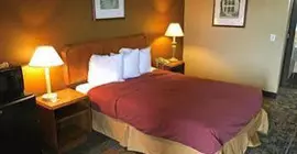 Americas Best Value Inn-Livonia/Detroit | Michigan - Detroit (ve civarı) - Livonia