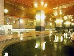 Johzankei Hotel | Hokkaido - Minami - Sapporo (ve civarı) - Sapporo