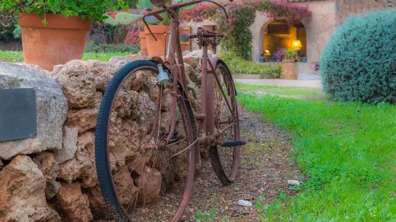 Era Nova | Balearic Adaları - Mayorka Adası - Pla de Mallorca