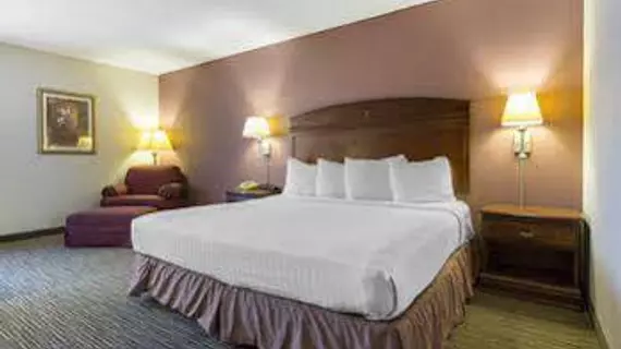 Greenstay Hotel & Suites | Missouri - Springfield (ve civarı) - Springfield