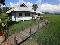 Ban Na Loam | Chiang Mai İli - Doi Saket