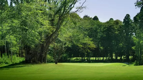 BIRDIES FOREST | Şiba (idari bölge) - Yachimata