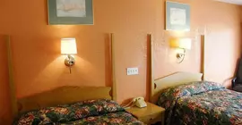 Economy Inn - Wesley Chapel | Georgia - Atlanta (ve civarı) - Decatur