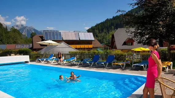 Hotel Vitaler Landauerhof | Styria - Schladming