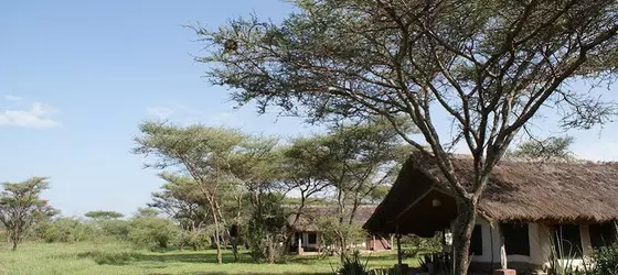 Ikoma Tented Camp | Serengeti Ulusal Parkı