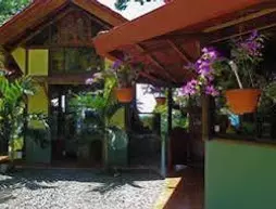 La Uvita Perdida Lodge | San Jose (ili) - Dominical (ve civarı) - Ballena