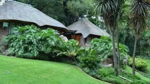 Five A Morris Bed and Breakfast | Gauteng - City of Tshwane - Johannesburg (ve civarı) - Sandton