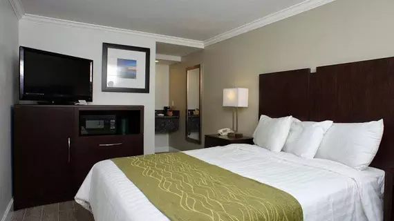 Hi View Inn & Suites | Kaliforniya - Los Angeles County - Torrance