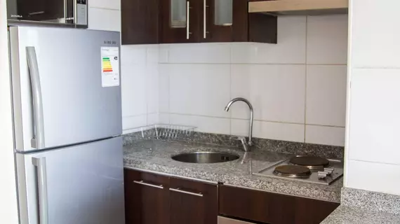 Santiago Furnished Apartments | Santiago - Santiago (ve civarı) - Santiago