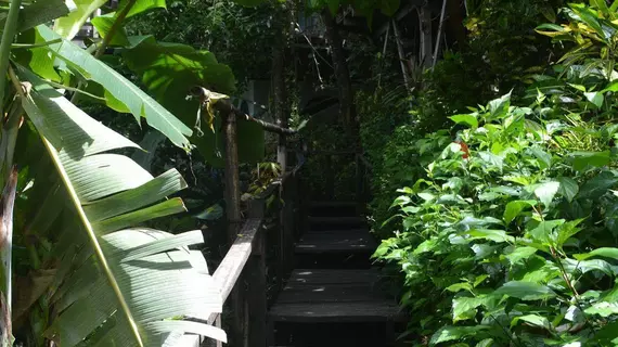 Lookout Inn Lodge | Puntarenas (ili) - Puerto Jimenez