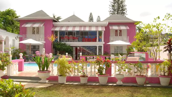 PinkHibiscus Guest House | Saint James - Montego Körfezi (ve civarı) - Montego Bay