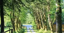 Tirindrish House | İskoçya - Scottish Highlands - Spean Bridge