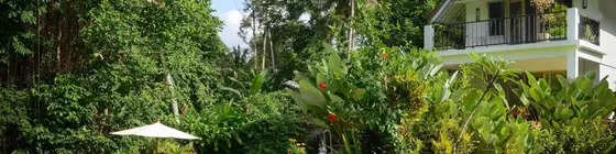 The White Villas Ubud | Bali - Ubud - Ubud Kent Merkezi