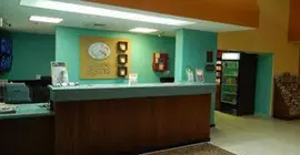 Comfort Suites Tampa | Florida - Tampa (ve civarı) - Tampa