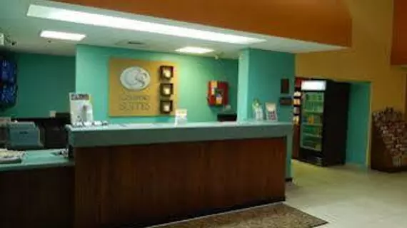 Comfort Suites Tampa | Florida - Tampa (ve civarı) - Tampa