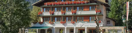 Alpenhotel Wurzer | Salzburg (eyalet) - Sankt Johann im Pongau - Filzmoos