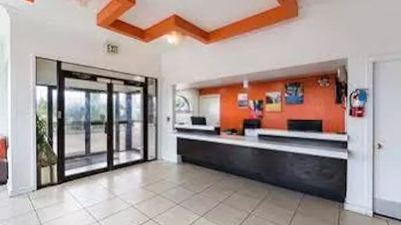 Motel 6 San Antonio - Fiesta Trails | Teksas - San Antonio (ve civarı) - San Antonio