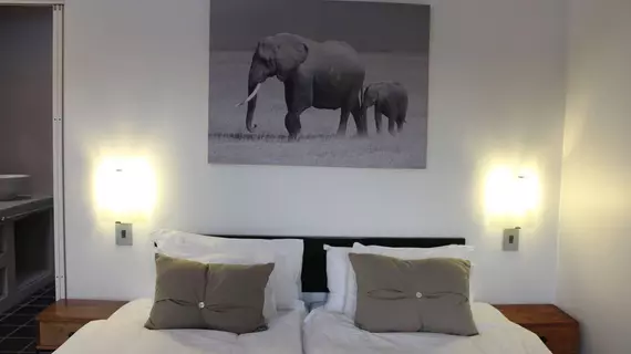 AfricanHome Guesthouse | West Coast DC - Drakenstein - Cape Town (ve civarı) - Cape Town - Sea Point Gezinti Yolu - Sea Point