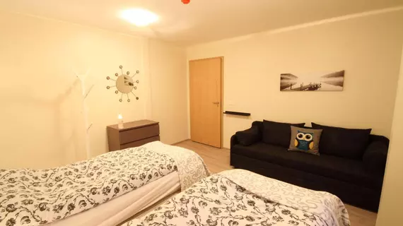 Aska Hostel | Güney İzlanda - Vestmannaeyjar