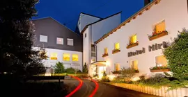 TIPTOP Hotel Hirt | Baden-Wuerttemberg - Deisslingen