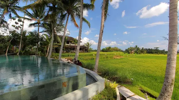 Mathis Retreat | Bali - Ubud - Kedewatan