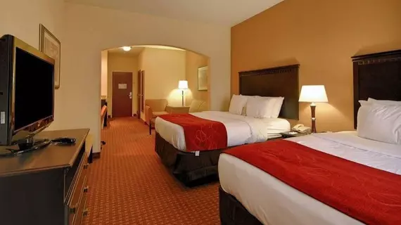 COMFORT SUITES SHREVEPORT | Louisiana - Bossier Parish - Shreveport (ve civarı) - Shreveport