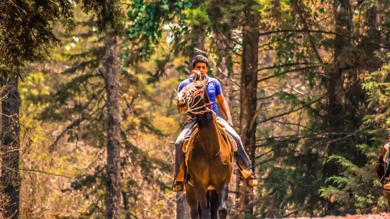 Zirahuen Forest and Resort | Michoacan - Salvador Escalante