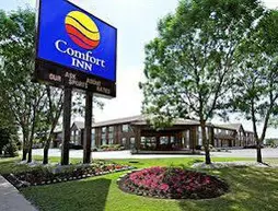 Comfort Inn Winnipeg Airport | Manitoba - Winnipeg (ve civarı) - Winnipeg