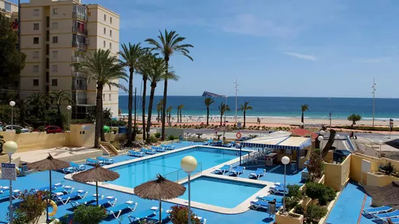 Hotel Poseidon Playa | Valencia Bölgesi - Alicante (vilayet) - Marina Baja - Benidorm