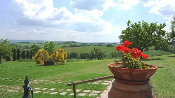 Il Palazzetto | Toskana - Siena (vilayet) - Siena