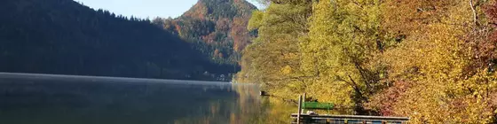 Landhotel Zellerhof*** | Lower Austria (Aşağı Avusturya) - Lunz am See