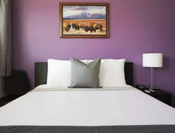 City Center Motel | Montana - Missoula (ve civarı) - Missoula