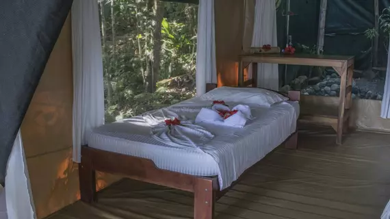 La Leona Eco Lodge | Puntarenas (ili) - Puerto Jimenez