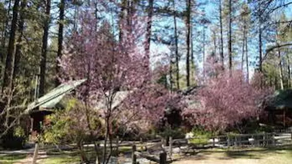 Quiet Creek Inn | Kaliforniya - Riverside County - Idyllwild