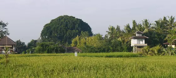 Rumah Dadong | Bali - Ubud - Sayan