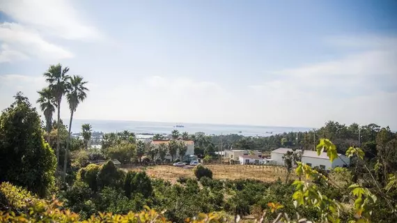 Living Stone Pension | Jeju Adası - Seogwipo - Seogwipo Şehri