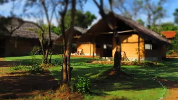 Green Ayurvedic Resort | Merkez Vilayet - Matale Bölgesi - Sigiriya