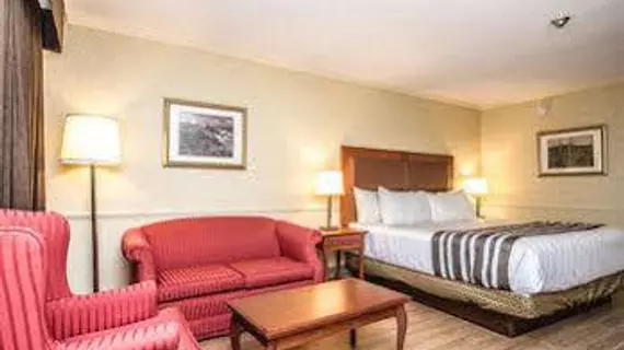 Best Western Plus Ottawa City Centre | Ontario - Ottawa (ve civarı) - Ottawa