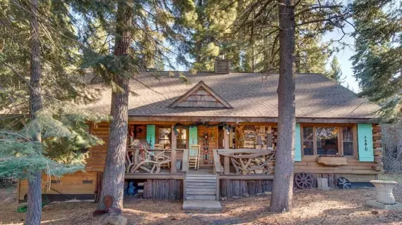 Lucky Tree Cabin | Kaliforniya - Lake Tahoe (ve civarı) - Truckee