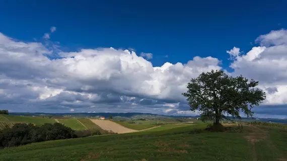 Agriturismo Casale Dello Sparviero | Toskana - Siena (vilayet) - Castellina in Chianti