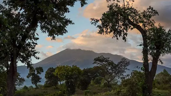 Ngare Sero Mountain Lodge | Arusha Bölgesi - Arusha