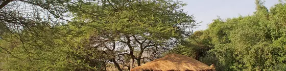 Lake Natron Tented Camp | Arusha Bölgesi - Natron Gölü