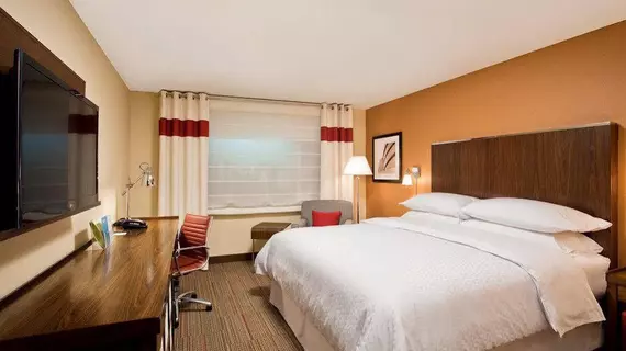 Four Points by Sheraton Saltillo | Coahuila - Saltillo (ve civarı) - Saltillo