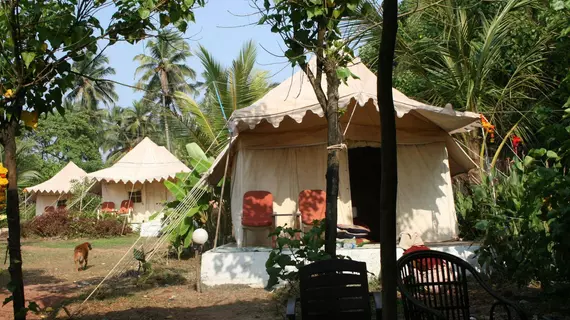 Five Five Restaurant and Guest Tents | Goa - Kuzey Goa - Anjuna