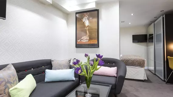 Shepherd's Bush Boutique Hotel | Londra (ve civarı) - Batı Londra