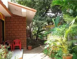 Palm Groove Guest House | Goa - Kuzey Goa - Vagator - Chapora