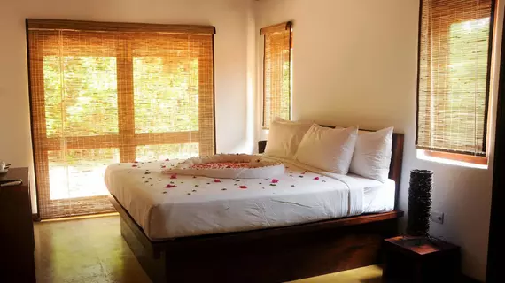 Sigiriya Lodge Hostel | Merkez Vilayet - Matale Bölgesi - Sigiriya